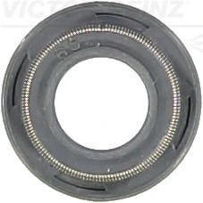 Seal Ring, valve stem